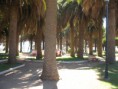 /album/fotogaleria/img-5340-jpg/